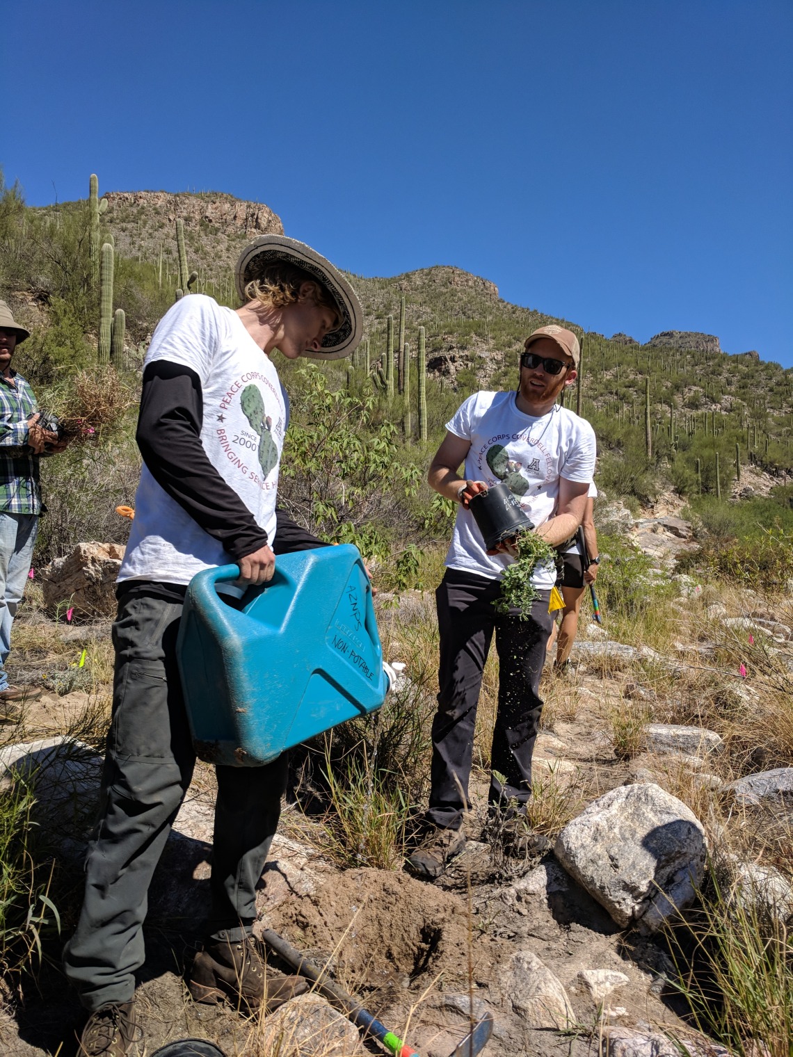 Coverdell Fellows water native plants in Sabino Canyon with Sky Island Alliance
