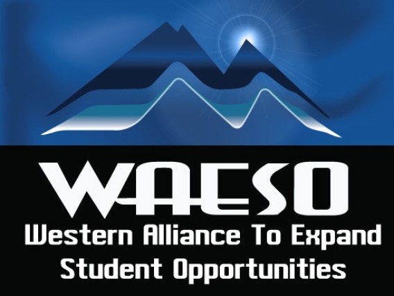 WAESO Logo