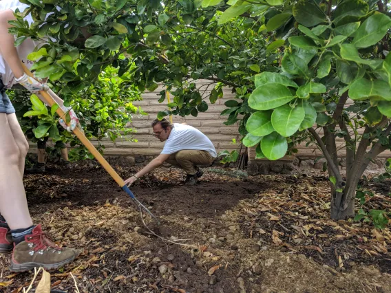 Coverdell Fellows fertilize crops at Mission Garden