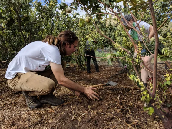 Coverdell Fellows fertilize crops at Mission Garden