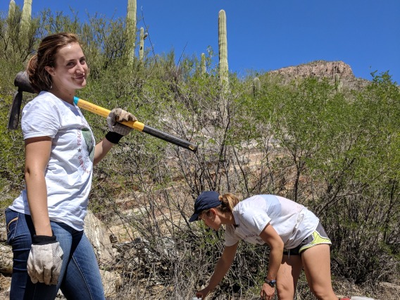 Coverdell Fellows water native plants in Sabino Canyon with Sky Island Alliance