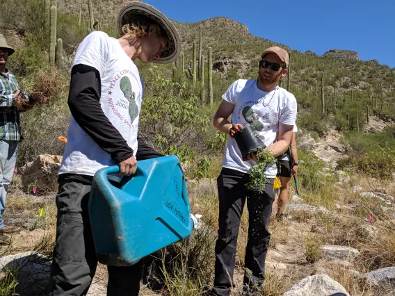 Coverdell Fellows water native plants in Sabino Canyon with Sky Island Alliance