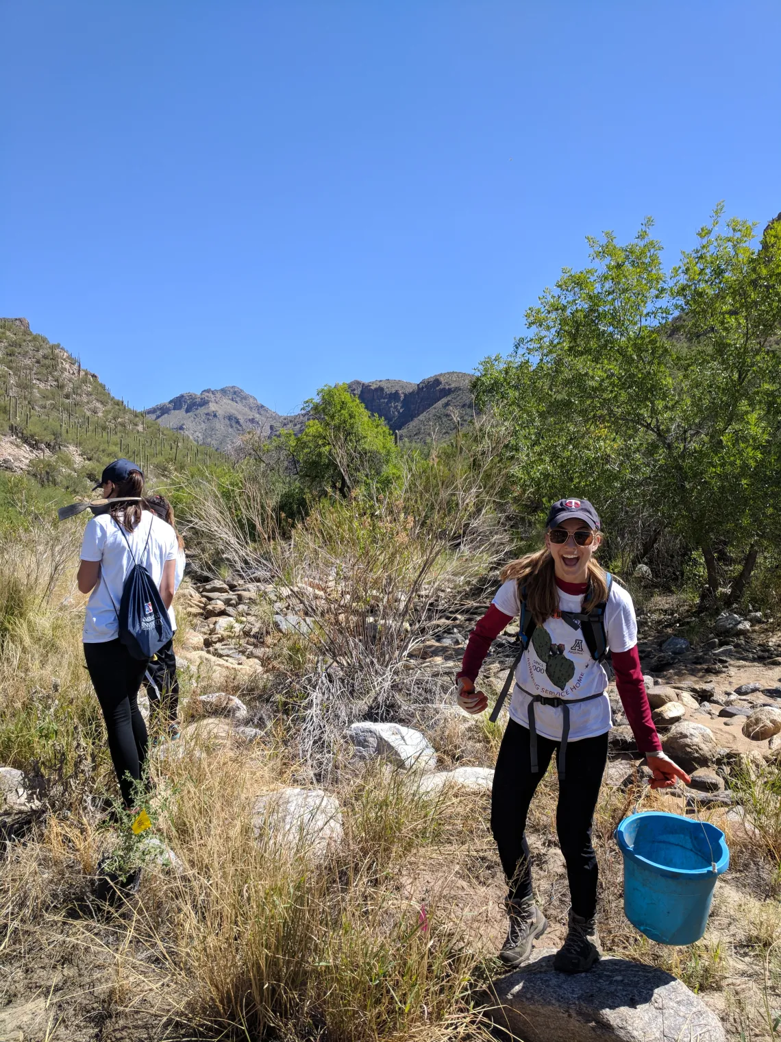 Coverdell Fellows water native plants in Sabino Canyon with Sky Island Alliance