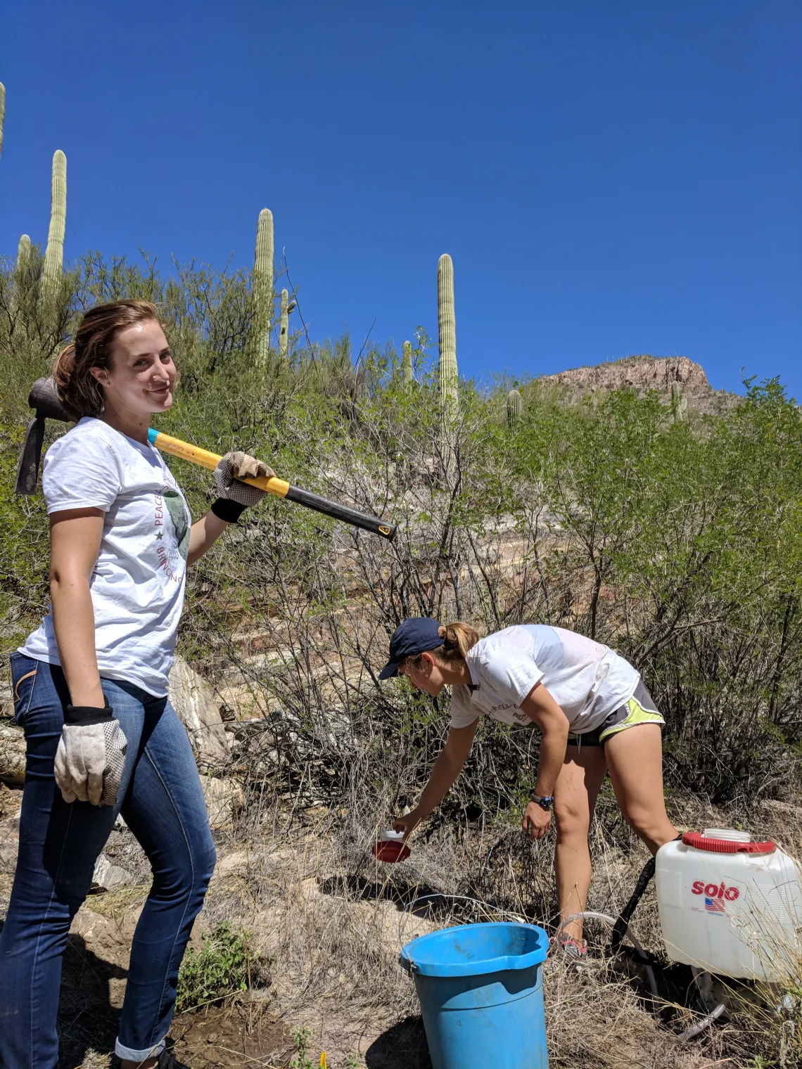 Coverdell Fellows water native plants in Sabino Canyon with Sky Island Alliance