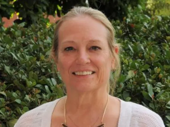 Mary Carol Combs, Professor, Teaching, Learning & Sociocultural Studies, (2021)